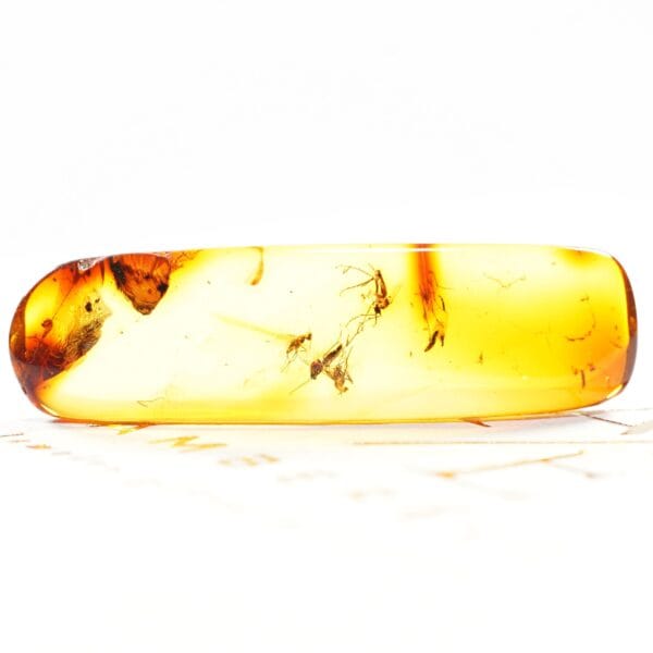 inkliuzas užrakintas laike