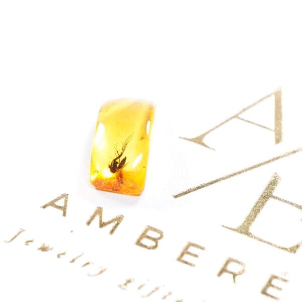 Baltijos gintaro inkliuzas