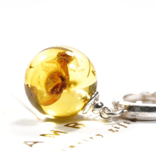 Auskarai su inkliuzais