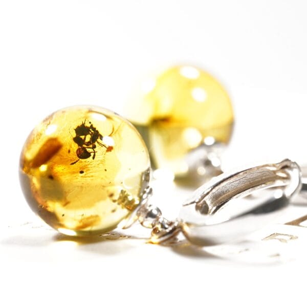 Gintariniai auskarai su inkliuzu