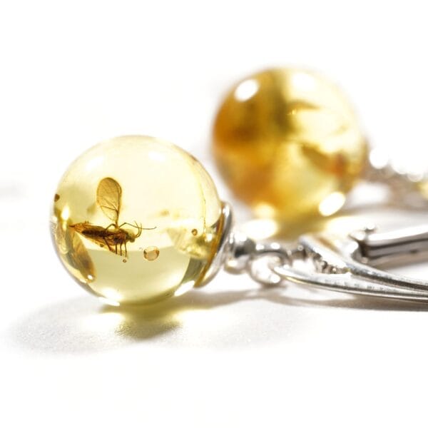 Auskarai su inkliuzais