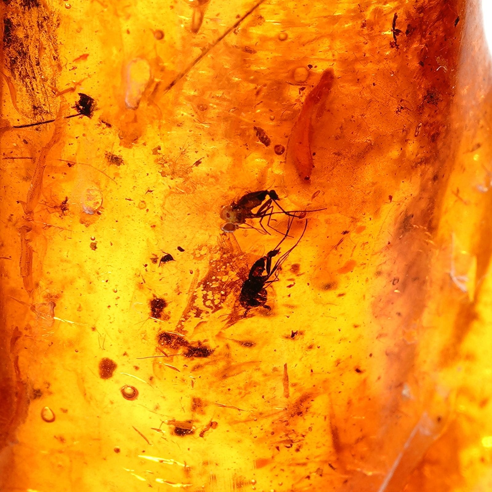 Inkliuzas "Užrakintas laike" -96- - Image 3