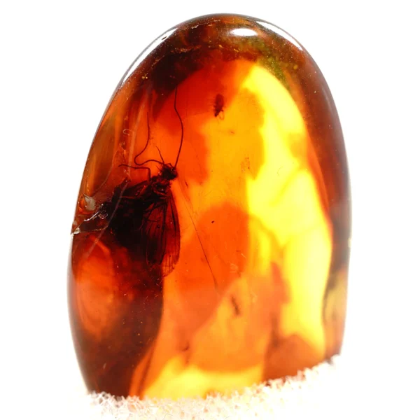 Alternative view of Inkliuzas "Užrakintas laike" -61-