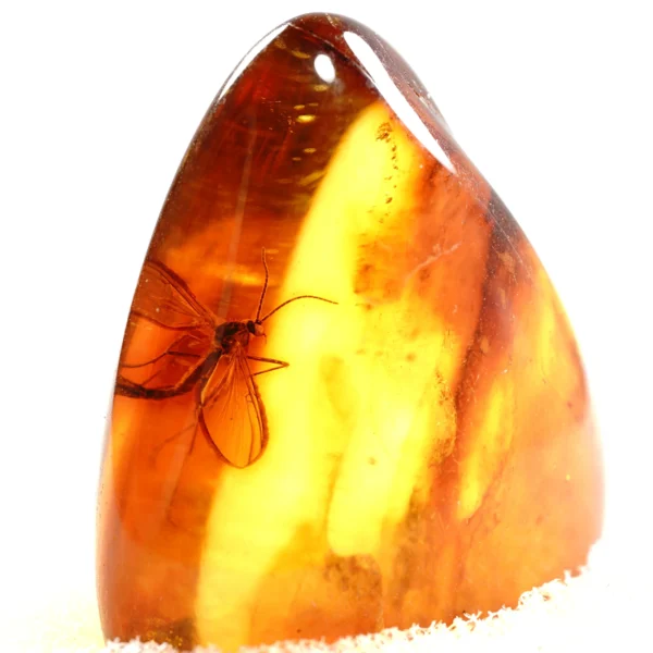 Natūralaus Baltijos gintaras su uodu