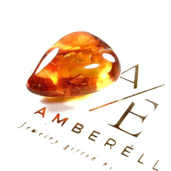 Natūralaus Baltijos gintaras su uodu