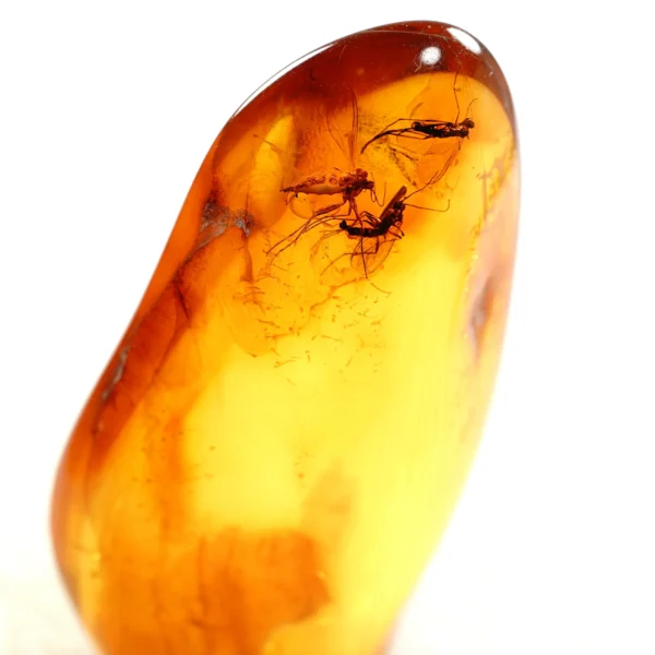 Alternative view of Inkliuzas "Užrakintas laike" -65-