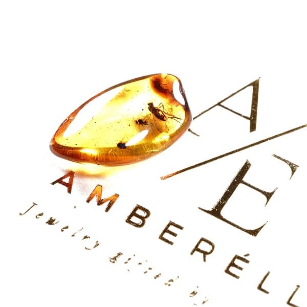 Natūralaus Baltijos gintaras su uodų būriu