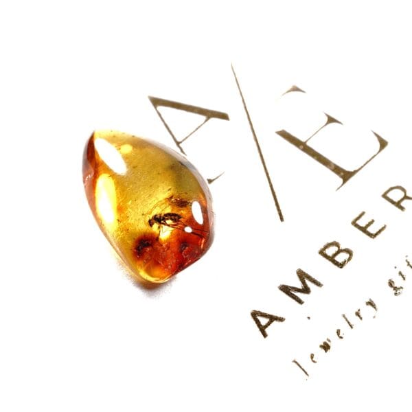 Natūralaus Baltijos gintaras su uodų būriu