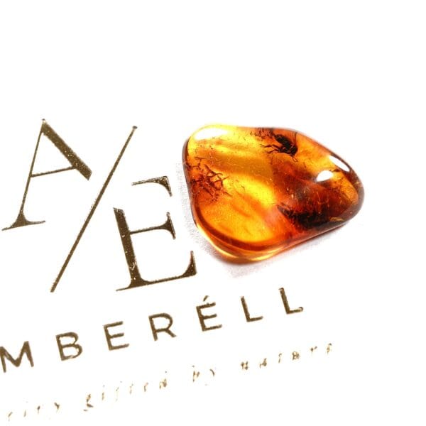 Natūralaus Baltijos gintaras su muse