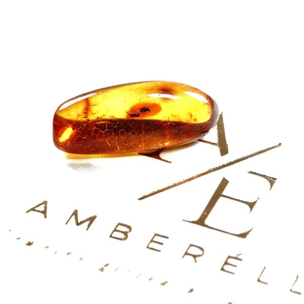 Natūralaus Baltijos gintaras su musėmis