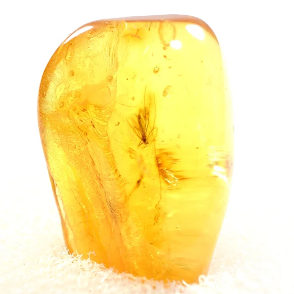 Natūralaus Baltijos gintaras su uodu