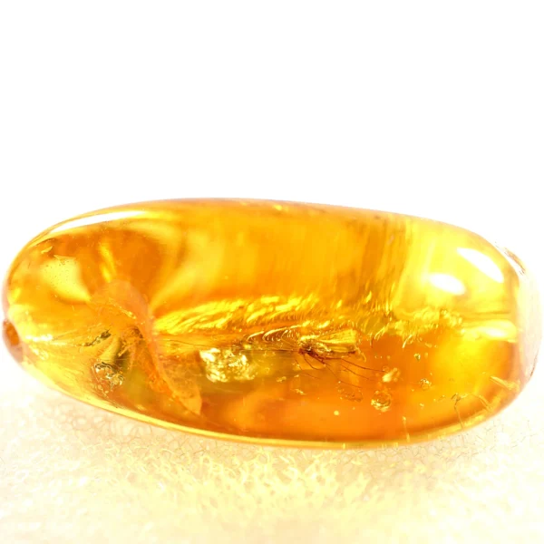 Natūralaus Baltijos gintaras su uodu