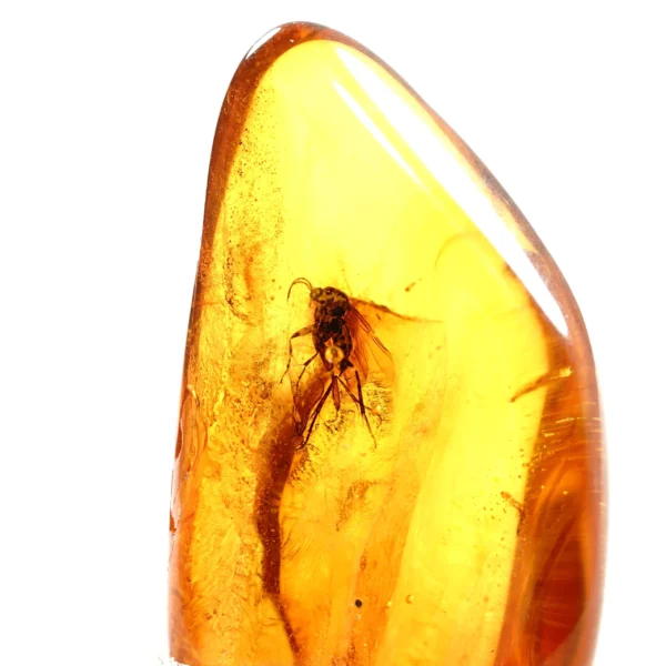 Natūralus Baltijos gintaras su uodu
