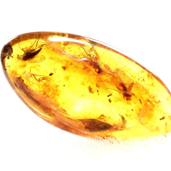 Natūralaus Baltijos gintaras su vabzdžiais