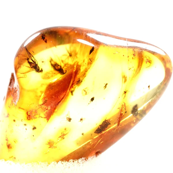 Natūralaus Baltijos gintaras su vabzdžiais ir voru