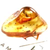 gintaro inkliuzas