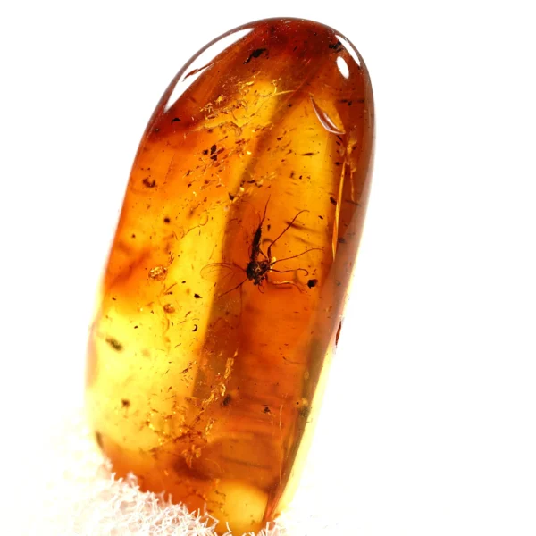 Natūralaus Baltijos gintaras su uodu