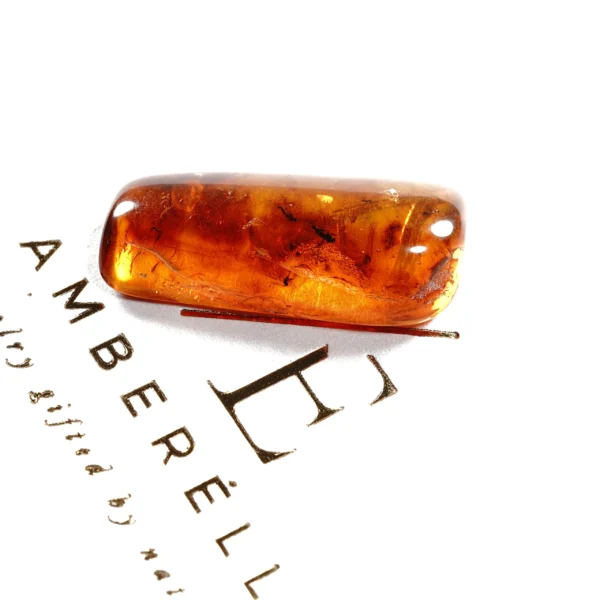 Natūralaus Baltijos gintaras su uodais