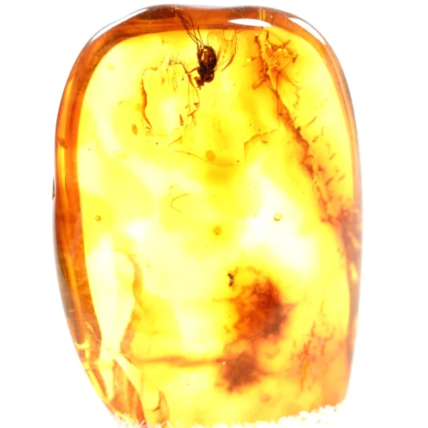 Natūralaus Baltijos gintaras su muse