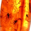 gintaro inkliuzas