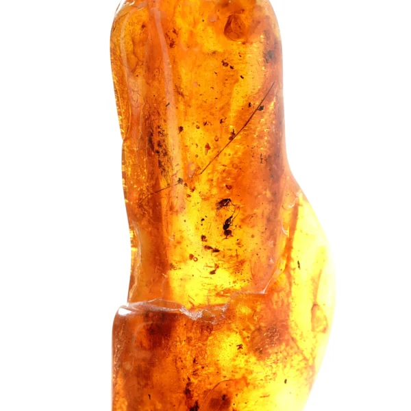 Natūralaus Baltijos gintaras su vabzdžiais