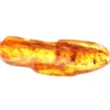 gintaro inkliuzas