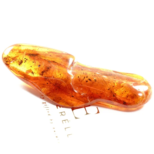 Natūralaus Baltijos gintaras su vabzdžiais