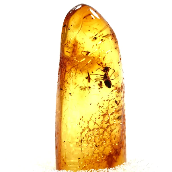 Natūralaus Baltijos gintaras su skruzdėle