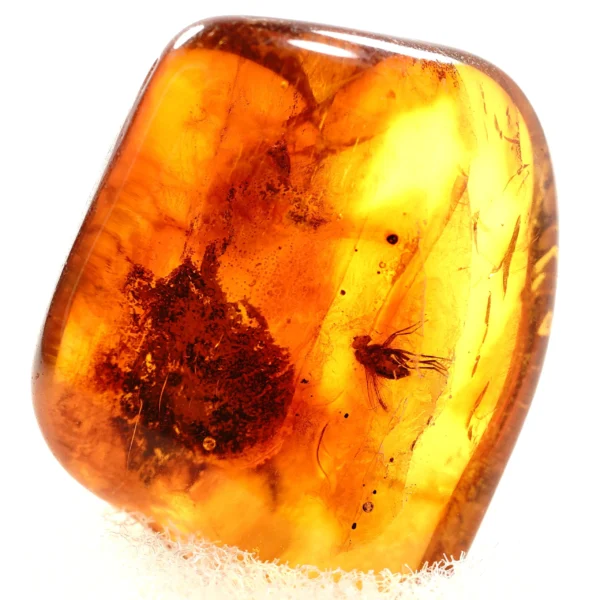 Natūralaus Baltijos gintaras su muse