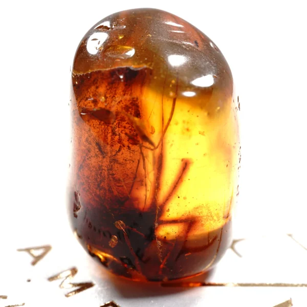 Natūralaus Baltijos gintaras su voru
