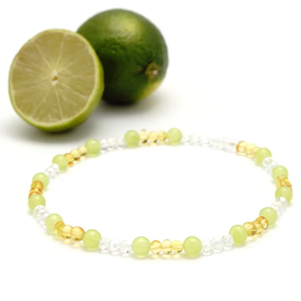 antkaklis šunims ir katėms