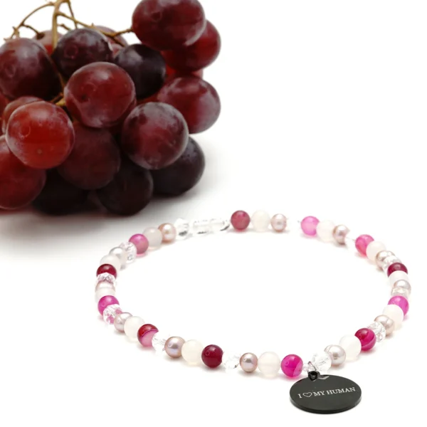 antkaklis šunims ir katėms