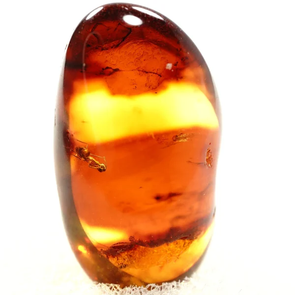 Natūralaus Baltijos gintaras su skruzdėle