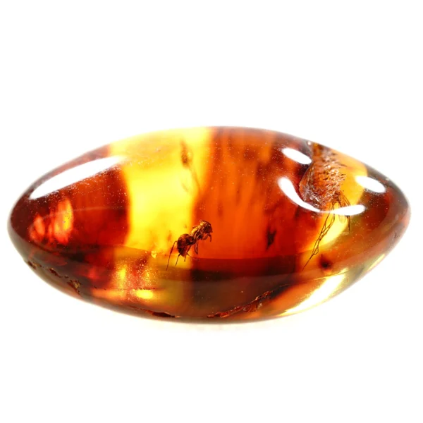Natūralaus Baltijos gintaras su skruzdėle