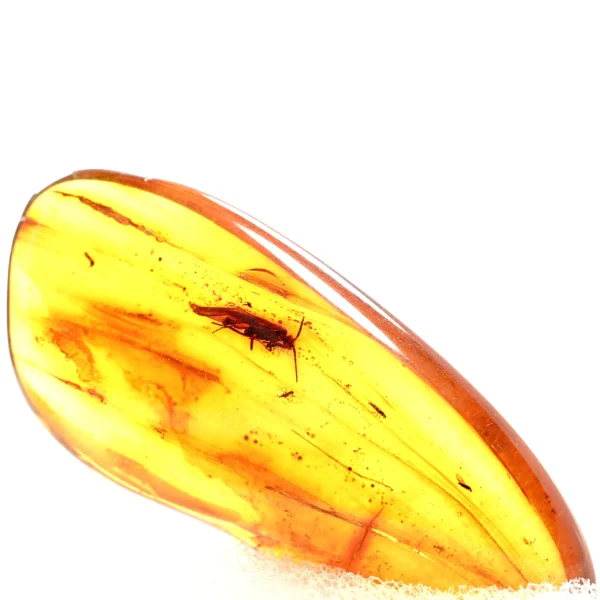 Alternative view of Inkliuzas "Užrakintas laike" -107-