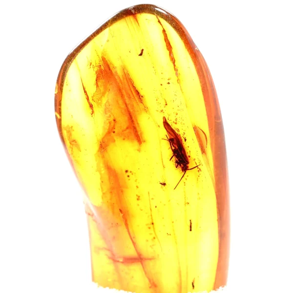 Natūralaus Baltijos gintaras su mašalu