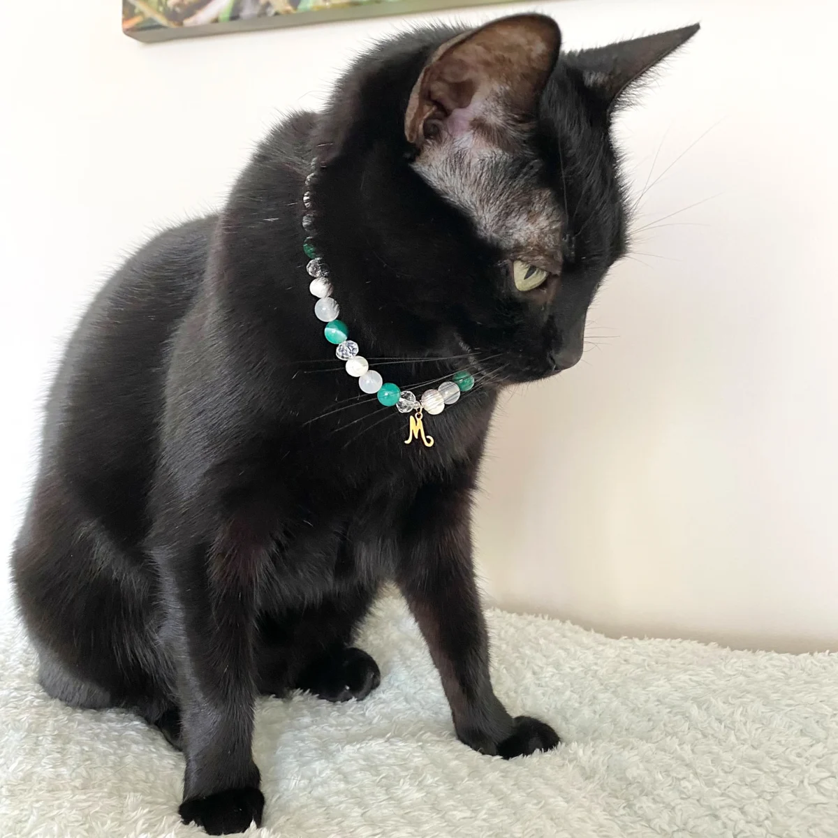 Dekoratyvinis antkaklis šunims ir katėms su perlais „Royal Emerald" - Image 3