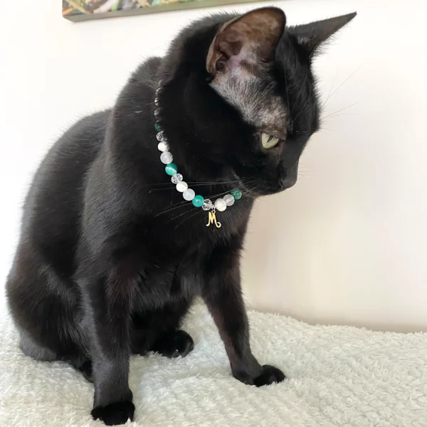 Natūralių perlų ir akmenų antkaklis šunims ir katėms