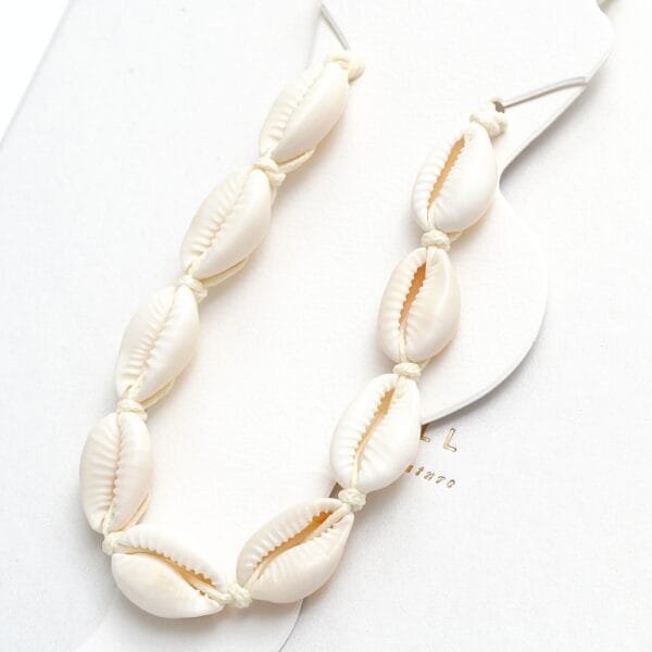 Natūralių kriauklių apykojė