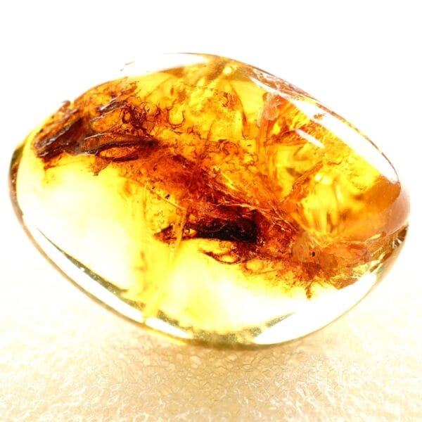 Natūralaus Baltijos gintaras su uodu