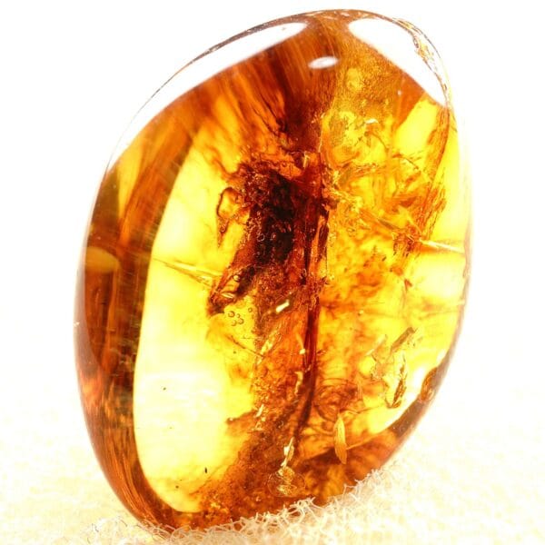 Natūralaus Baltijos gintaras su uodu