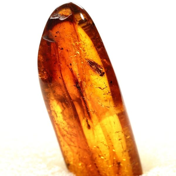 Natūralaus Baltijos gintaras su uodu