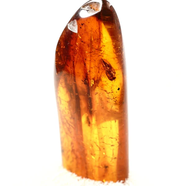 Natūralaus Baltijos gintaras su uodu