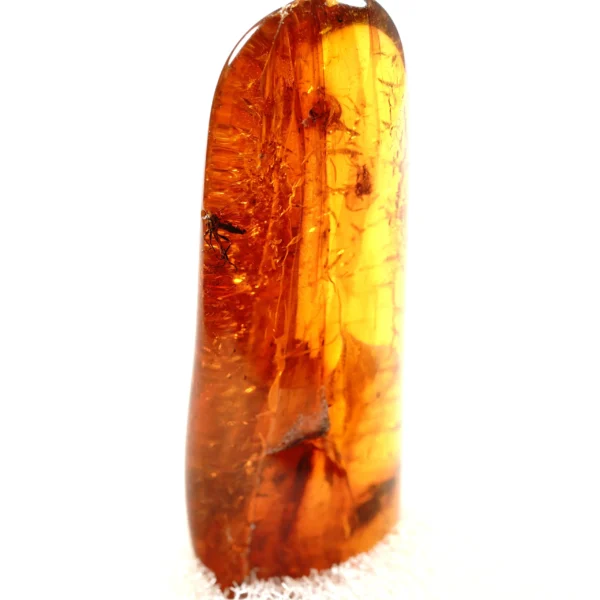 Natūralaus Baltijos gintaras su uodu