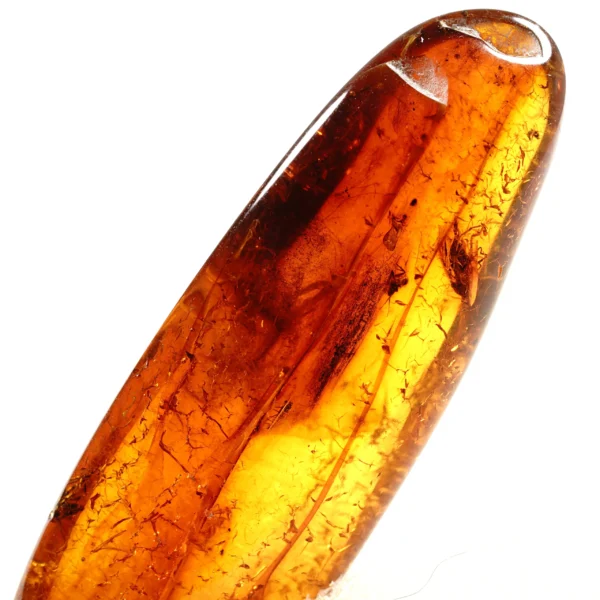 Natūralaus Baltijos gintaras su uodu