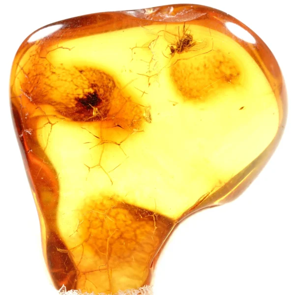 Alternative view of Inkliuzas "Užrakintas laike" -122-