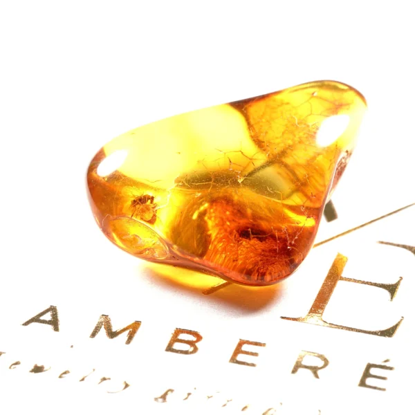 Natūralaus Baltijos gintaras su muse