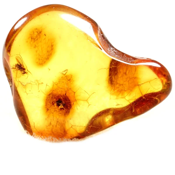 Natūralaus Baltijos gintaras su muse