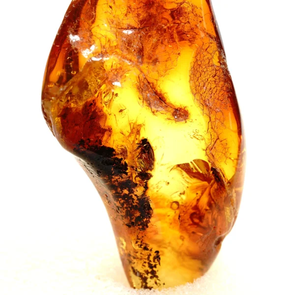 Natūralaus Baltijos gintaras su musėmis