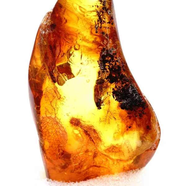 Natūralaus Baltijos gintaras su musėmis